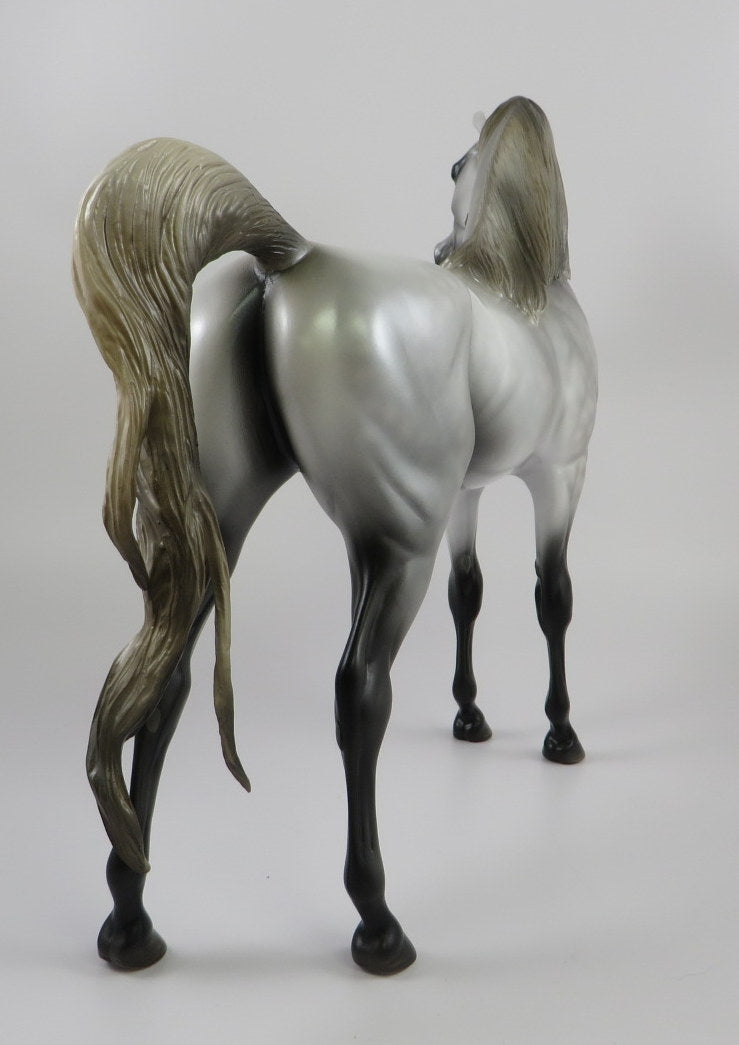 SILVER GHOST -OOAK  DAPPLE GREY ARABIAN MODEL HORSE BY MISSY FOX 7/18/19