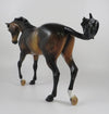BENIN - OOAK DAPPLE BAY CM THOROUGHBRED MODEL HORSE BY AUDREY DIXON 9/18/19
