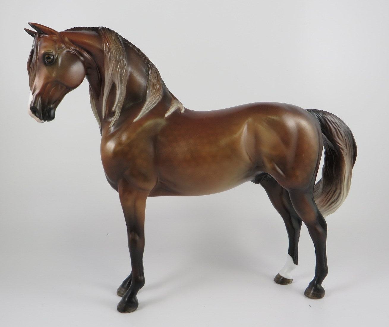 COSO -OOAK DAPPLE SILVER BAY MORGAN MODEL HORSE BY MISSY FOX 9/18/19