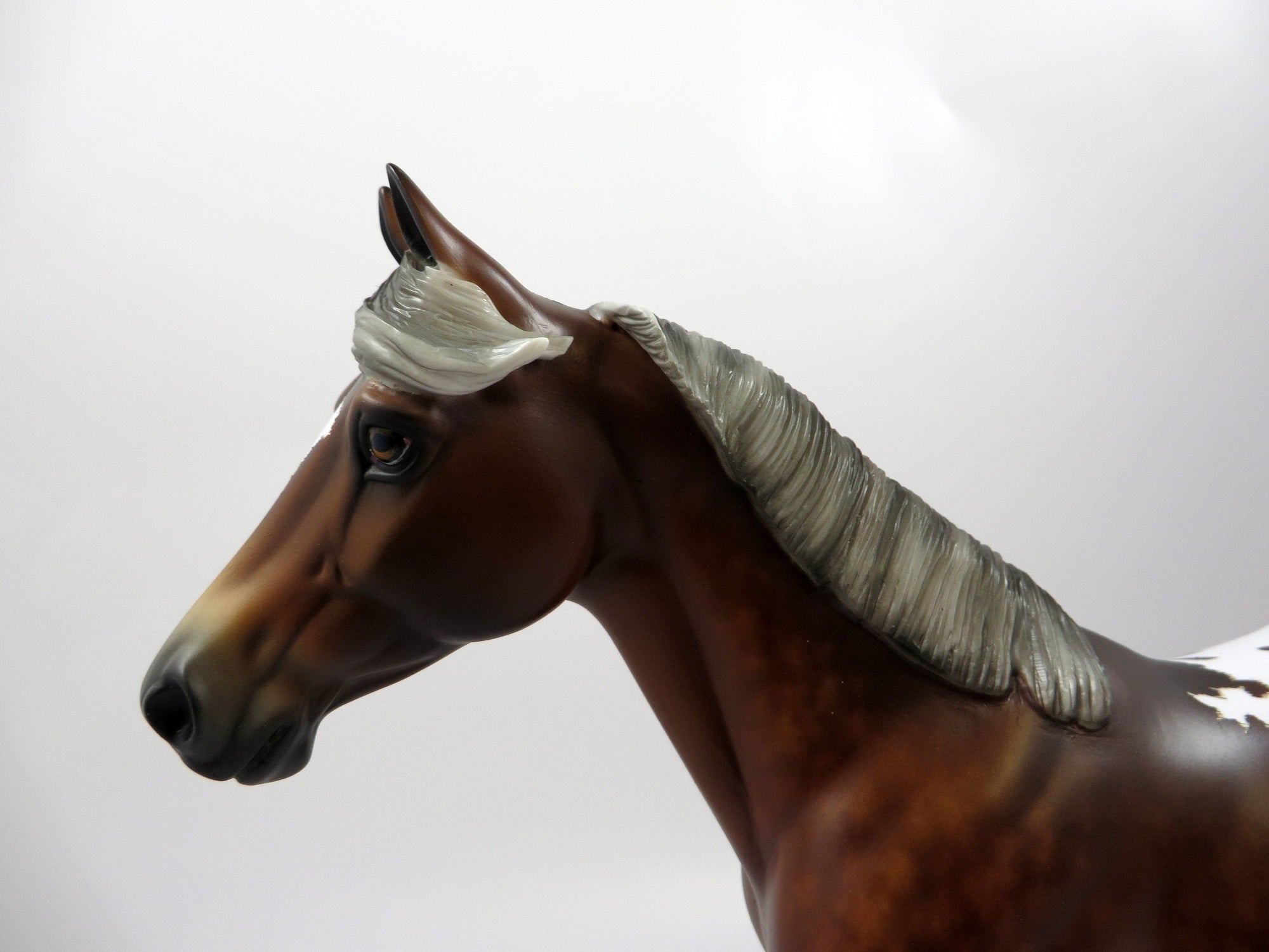 YOWZA-OOAK STAR DAPPLE BAY APPALOOSA PALOUSE BY SHERYL LEISURE 5/13/19