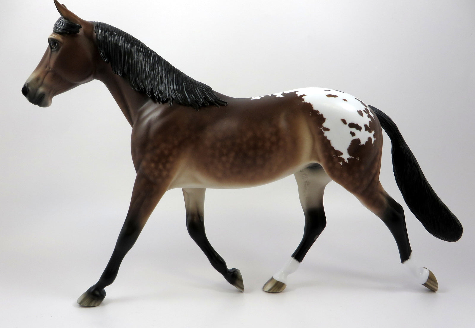 ZOINKS-OOAK STAR DAPPLE BAY PALOUSE BY SHERYL LEISURE 5/13/19