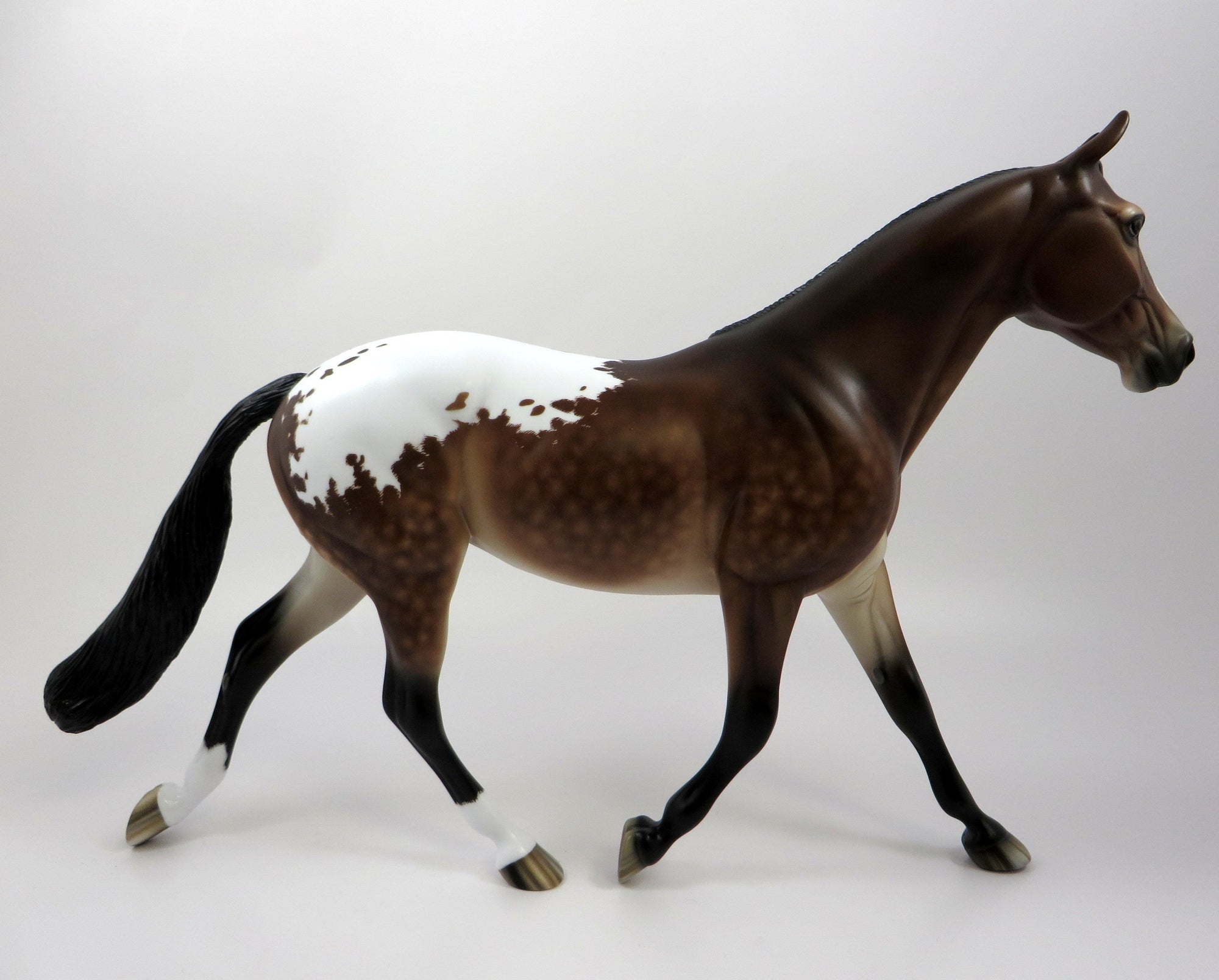 ZOINKS-OOAK STAR DAPPLE BAY PALOUSE BY SHERYL LEISURE 5/13/19