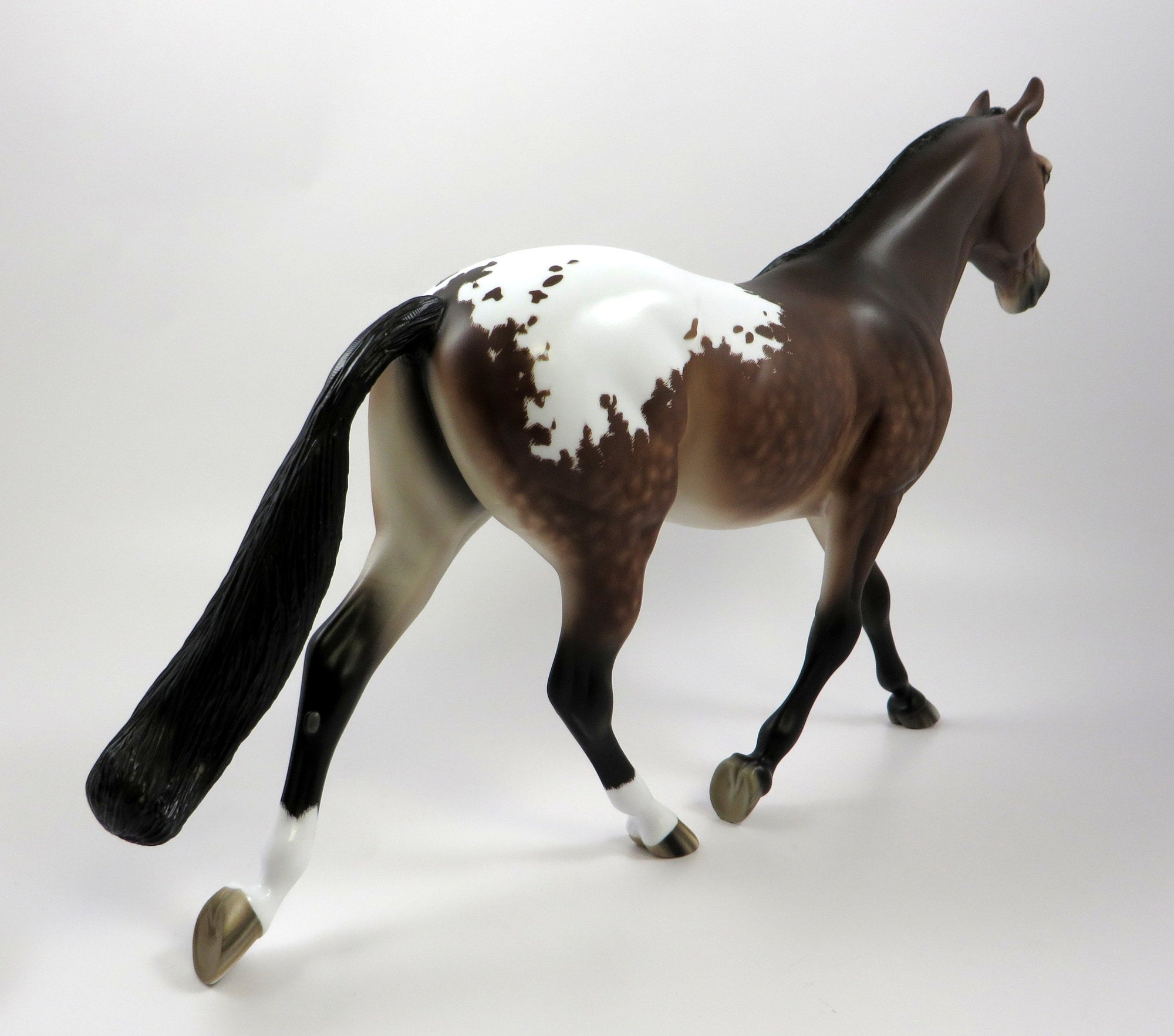 ZOINKS-OOAK STAR DAPPLE BAY PALOUSE BY SHERYL LEISURE 5/13/19