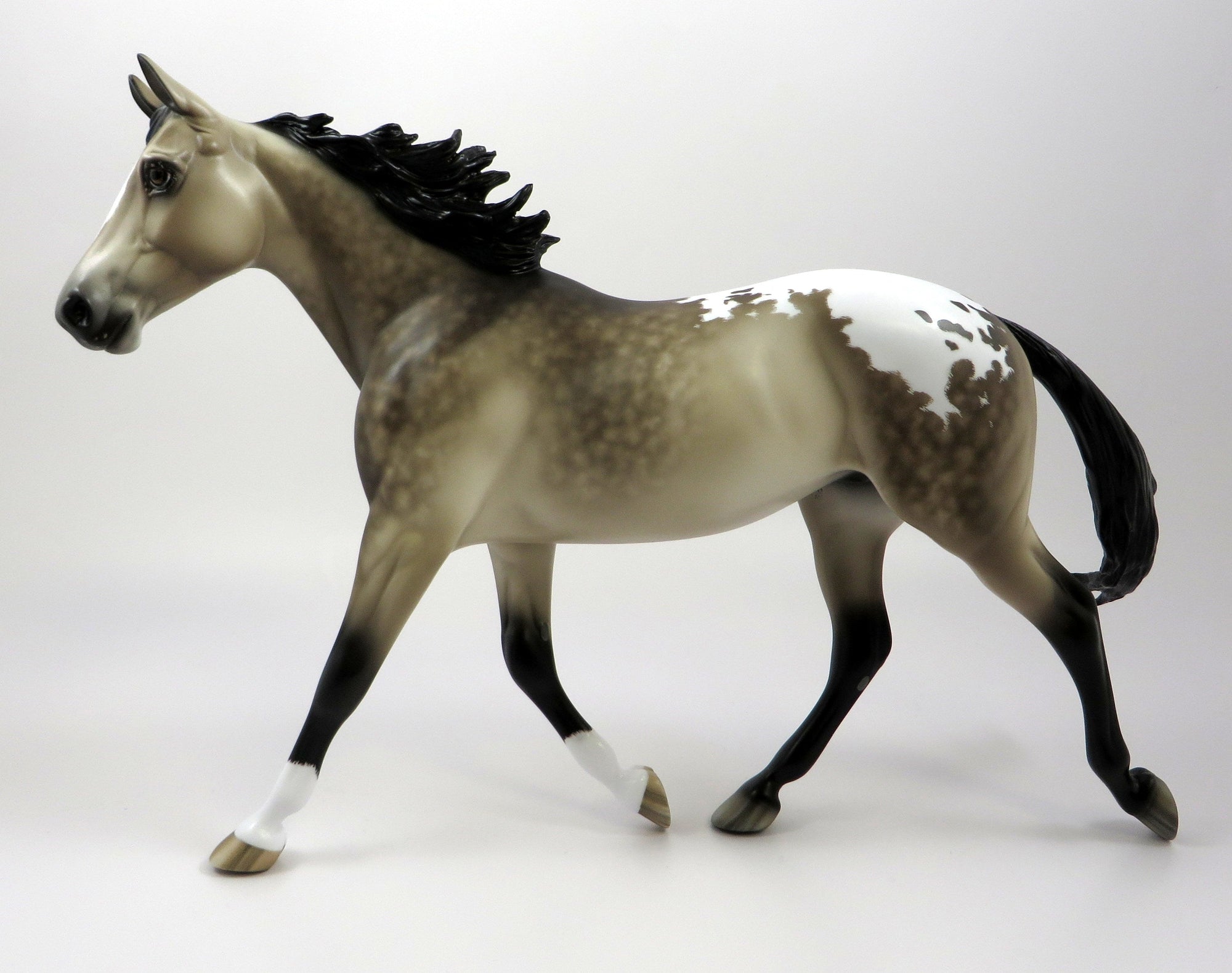 buckskin 