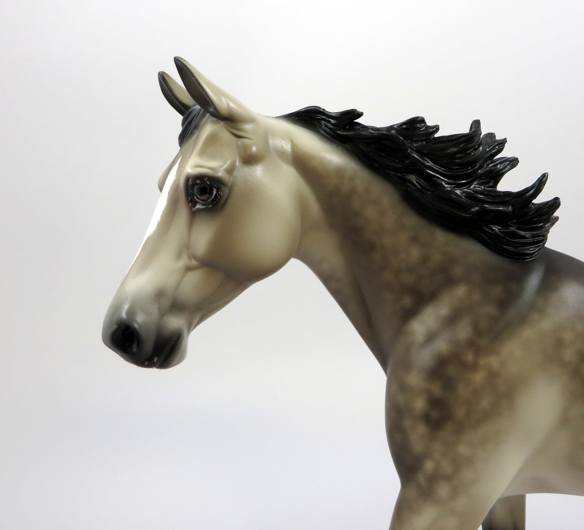 HOLY SMOKES-OOAK BUCKSKIN APPALOOSA PALOUSE BY SHERYL LEISURE 5/13/19