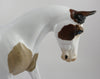 ALTAI -OOAK BAY ROAN PINTALOOSA CM PALOUSE MODEL HORSE BY AUDREY DIXON 9/18/19