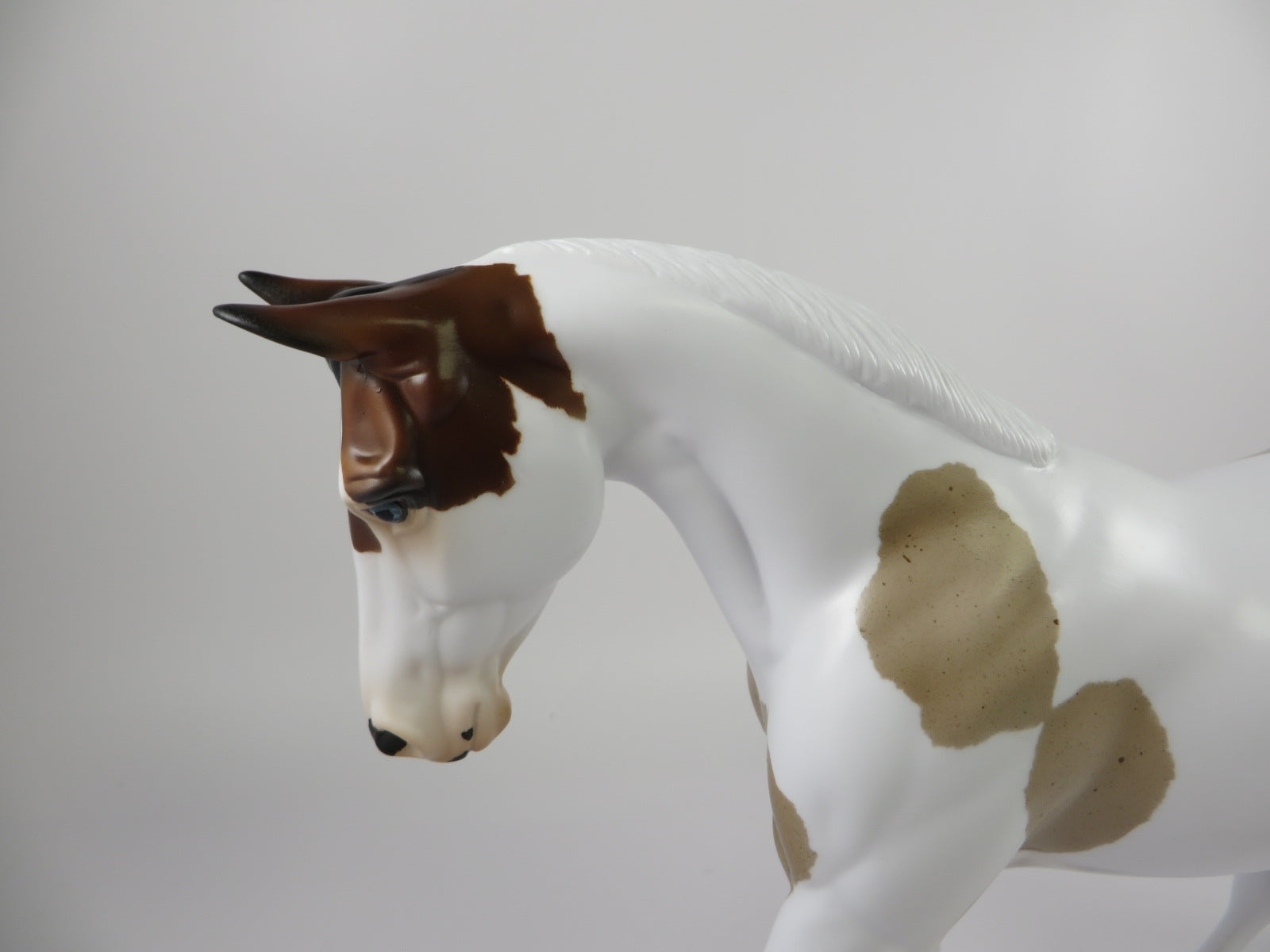 ALTAI -OOAK BAY ROAN PINTALOOSA CM PALOUSE MODEL HORSE BY AUDREY DIXON 9/18/19