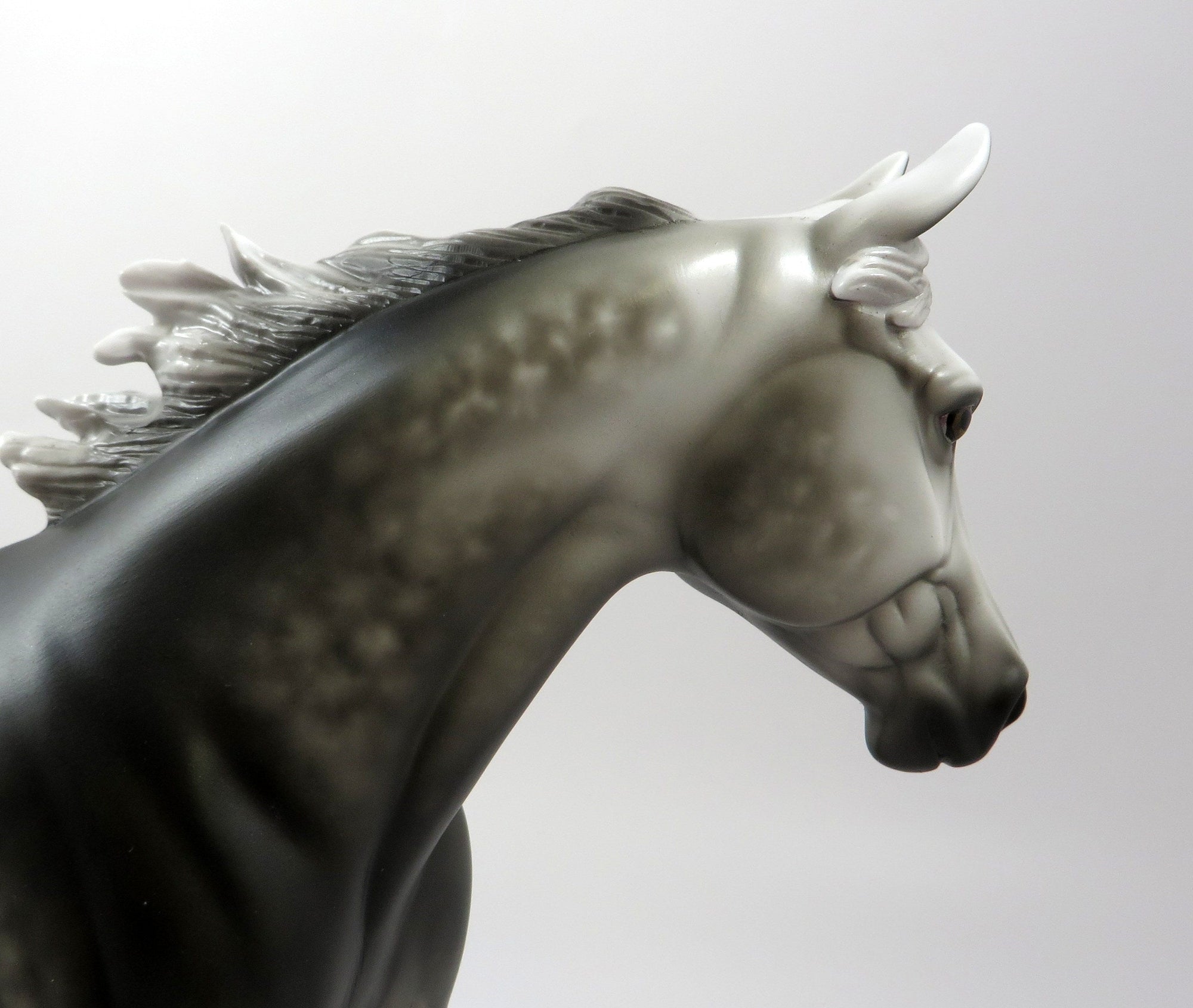 ZOWIE-OOAK DAPPLE GREY APPALOOSA PALOUSE BY SHERYL LEISURE