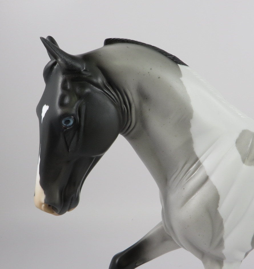 WRANGELL -OOAK BLUE ROAN TWH MODEL HORSE BY AUDREY DIXON 9/18/19