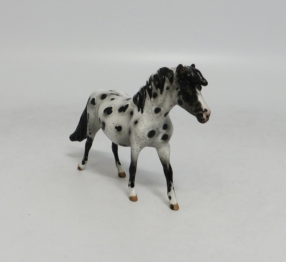 Appaloosa