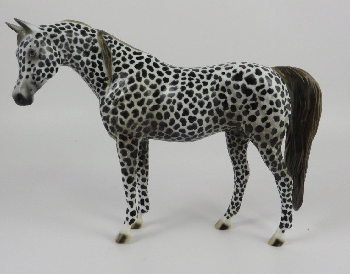 DARK ROAST -OOAK BLACK LEOPARD APPY ARABIAN PEBBLES BY AL KATT LHS 19