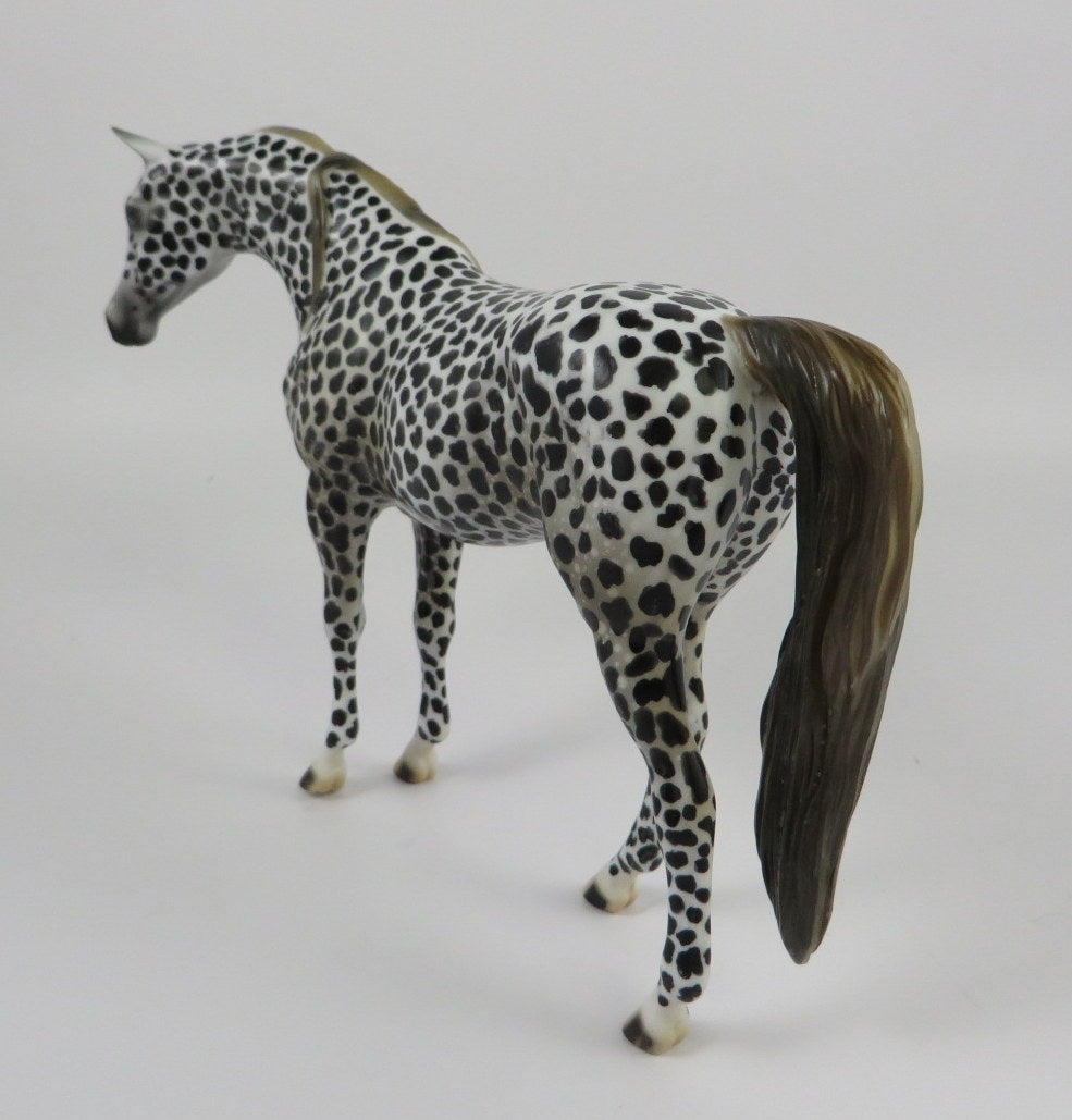 DARK ROAST -OOAK BLACK LEOPARD APPY ARABIAN PEBBLES BY AL KATT LHS 19