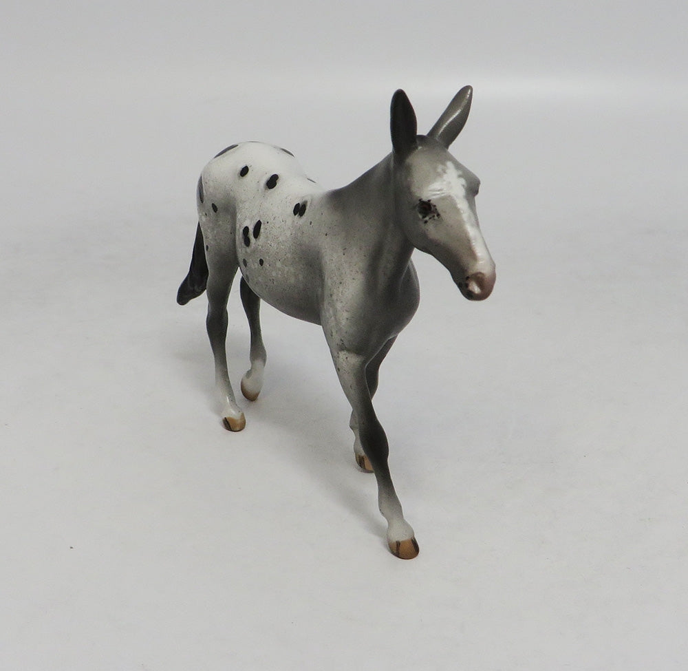 CHALK TALK-OOAK APPALOOSA MULE CHIP BY SHERYL LEISURE LHS 2018