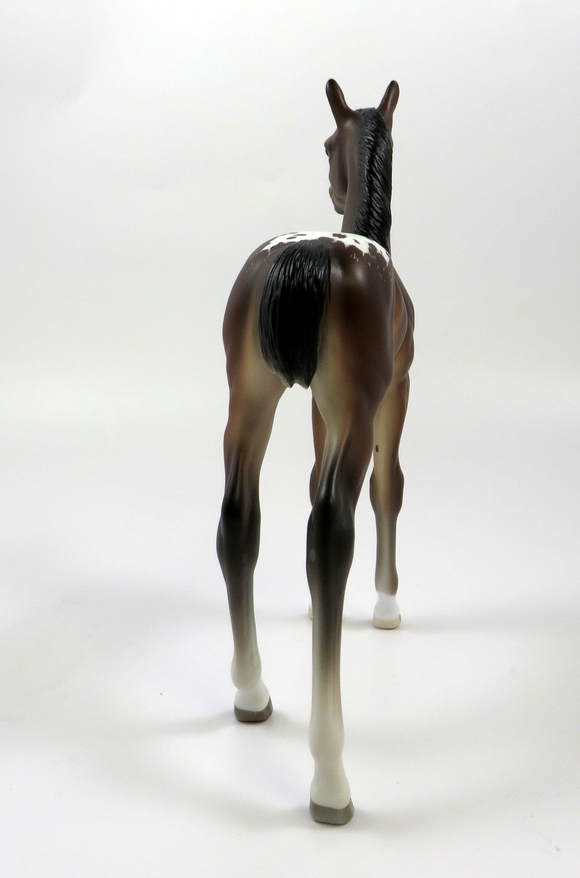 WOOT -OOAK- BAY APPALOOSA ARABIAN FOAL BY SHERYL LEISURE 5/17/19