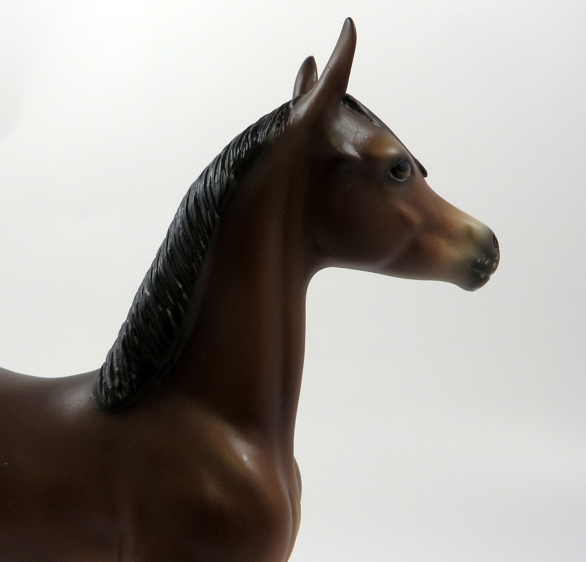 WOOT -OOAK- BAY APPALOOSA ARABIAN FOAL BY SHERYL LEISURE 5/17/19