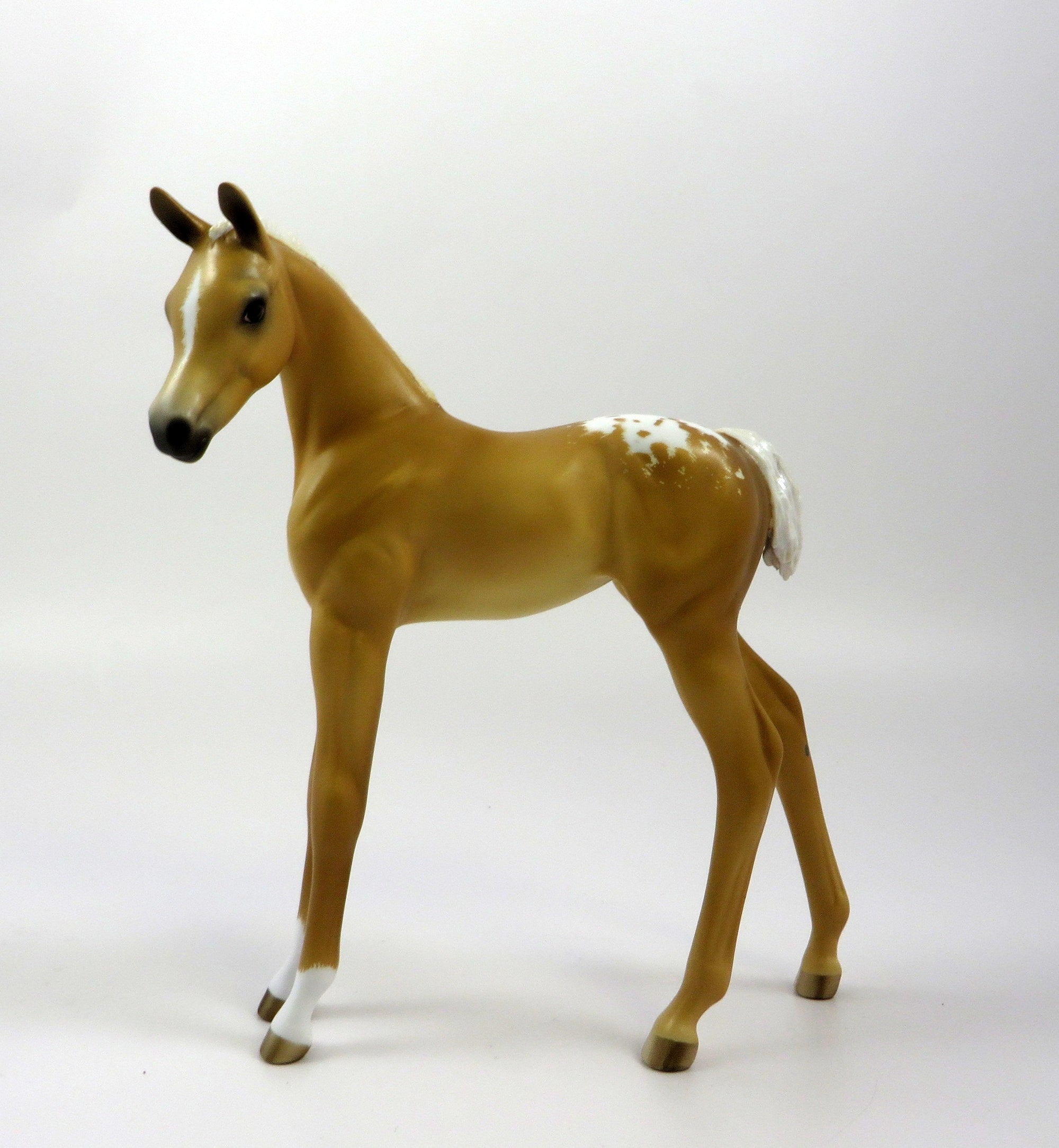 WHOOPEE -OOAK- PALOMINO APPALOOSA ARABIAN FOAL BY SHERYL LEISURE 5/17/19
