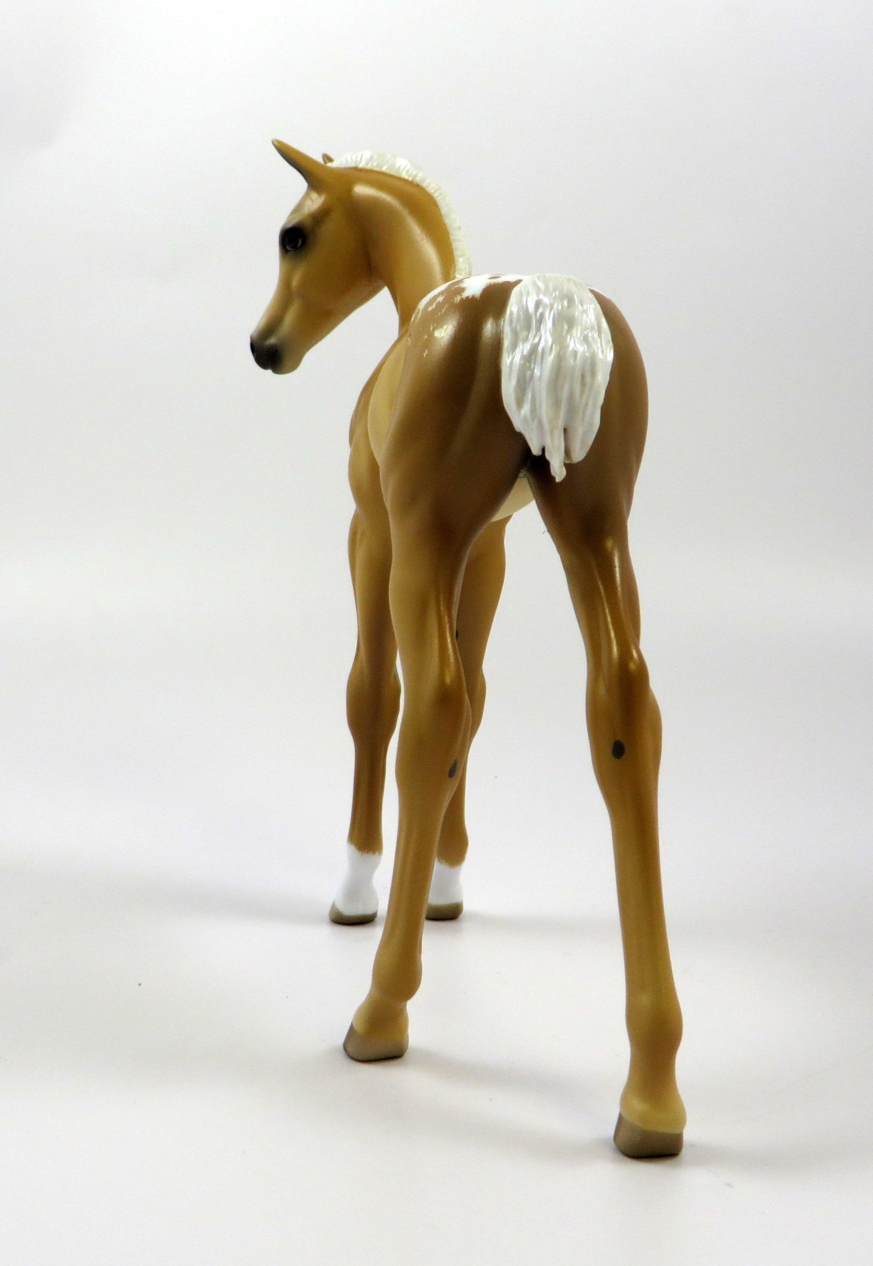 WHOOPEE -OOAK- PALOMINO APPALOOSA ARABIAN FOAL BY SHERYL LEISURE 5/17/19