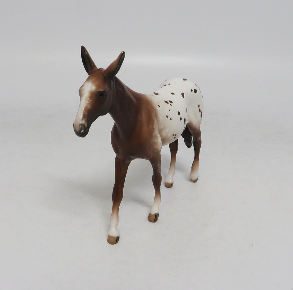 SHADY LADY-APPALOOSA MULE CHIP BY SHHERYL LEISURE LHS 2018