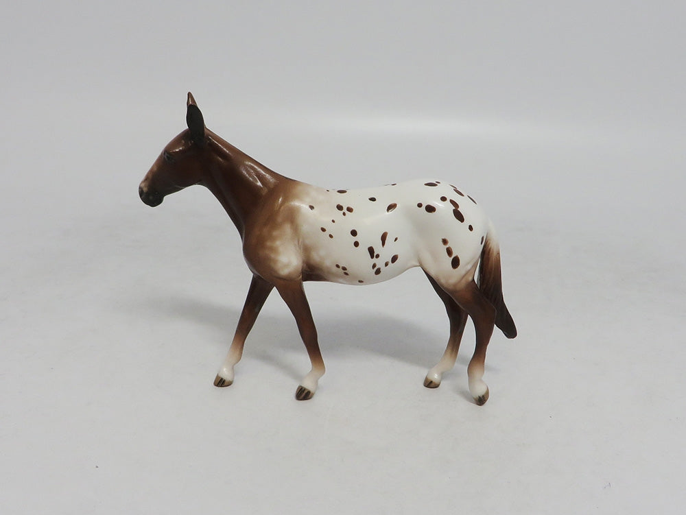 SHADY LADY-APPALOOSA MULE CHIP BY SHHERYL LEISURE LHS 2018