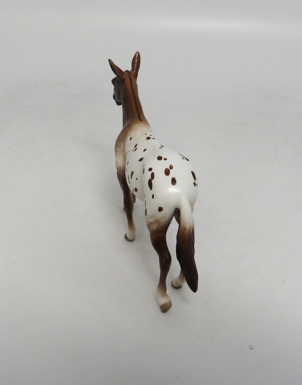 SHADY LADY-APPALOOSA MULE CHIP BY SHHERYL LEISURE LHS 2018