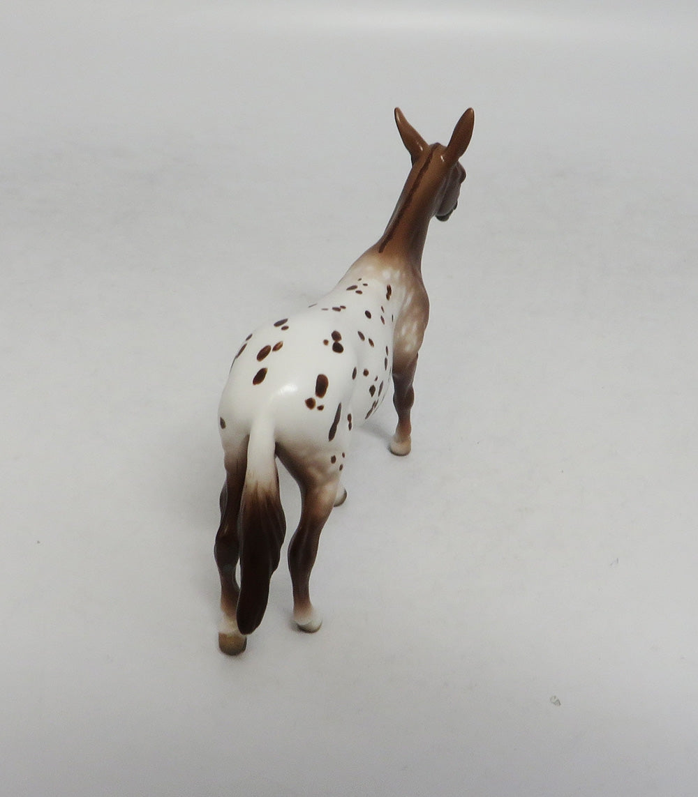 SHADY LADY-APPALOOSA MULE CHIP BY SHHERYL LEISURE LHS 2018