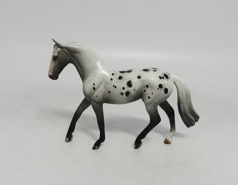 Appaloosa Chip