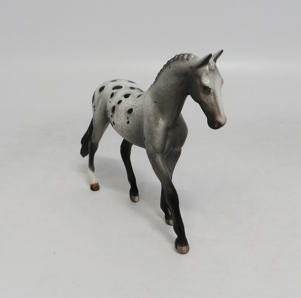 TOPSY TURVEY-OOAK APPALOOSA WARMBLOOD CHIP LHS 2018