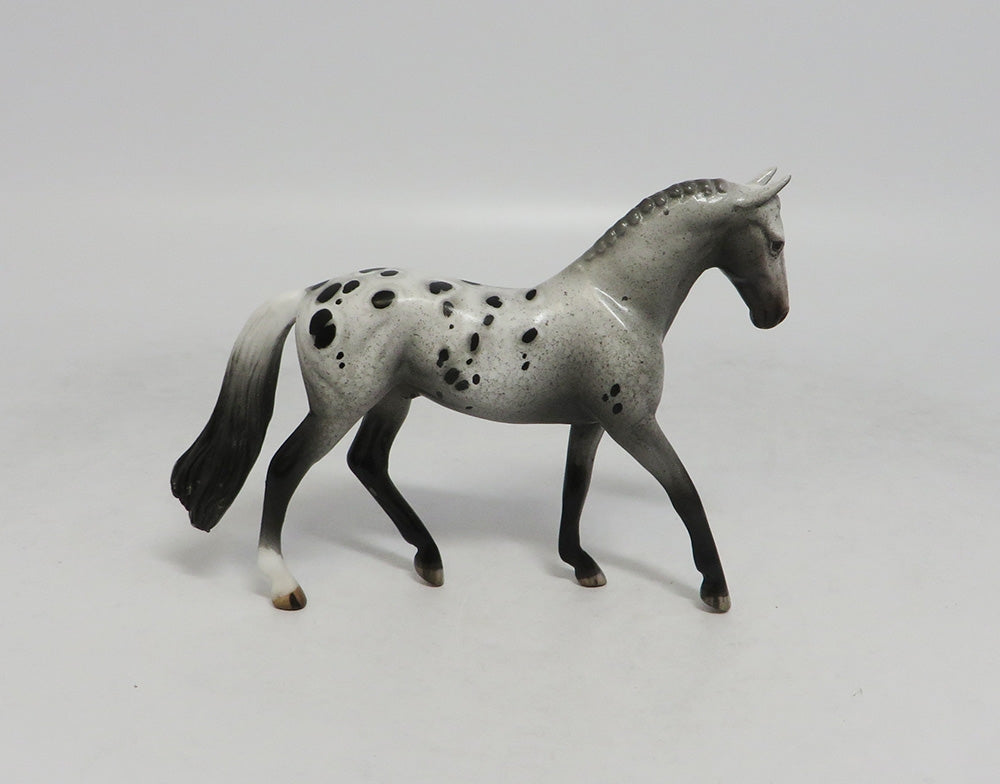 TOPSY TURVEY-OOAK APPALOOSA WARMBLOOD CHIP LHS 2018