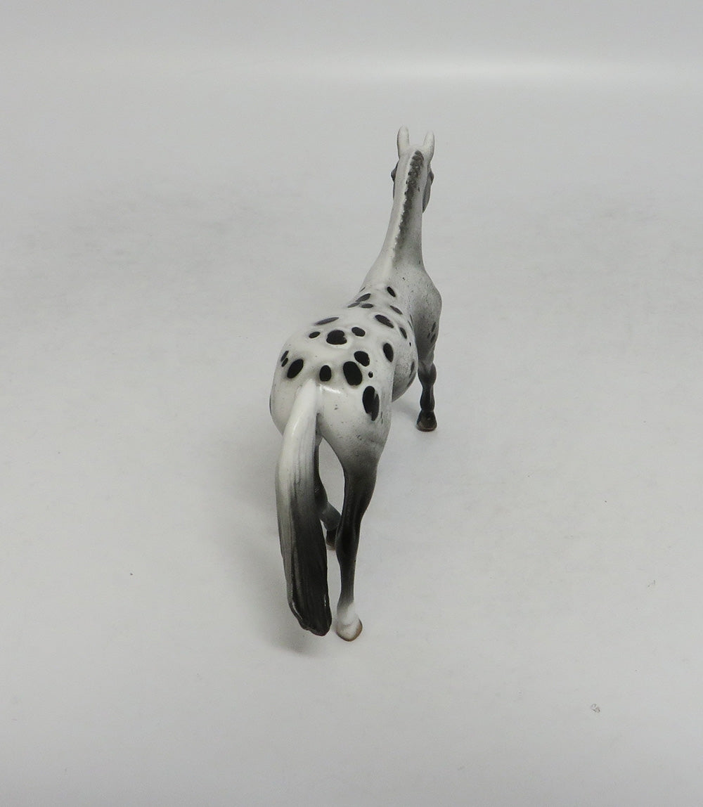 TOPSY TURVEY-OOAK APPALOOSA WARMBLOOD CHIP LHS 2018
