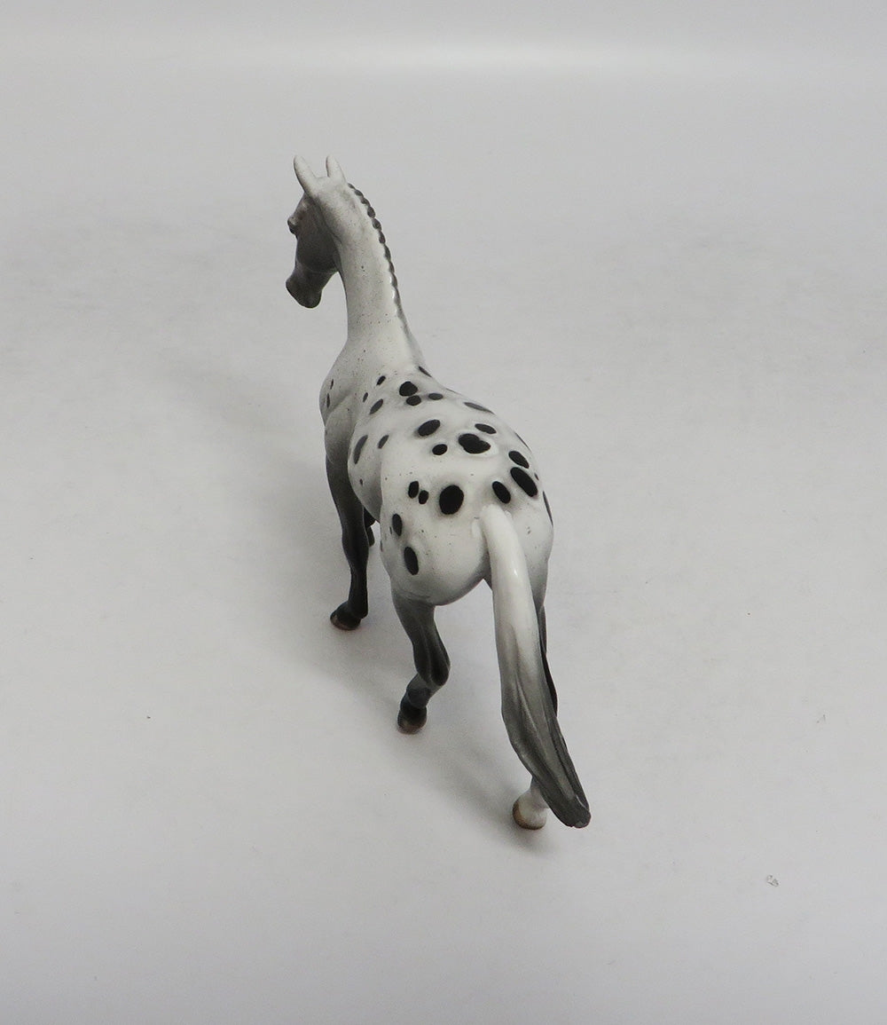 TOPSY TURVEY-OOAK APPALOOSA WARMBLOOD CHIP LHS 2018