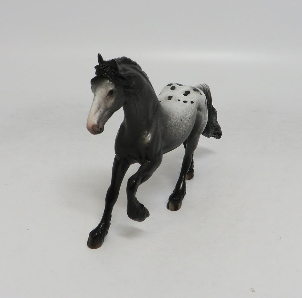 SMART START-OOAK BLANKET APPALOOSA FRESIAN CHIP LHS 2018