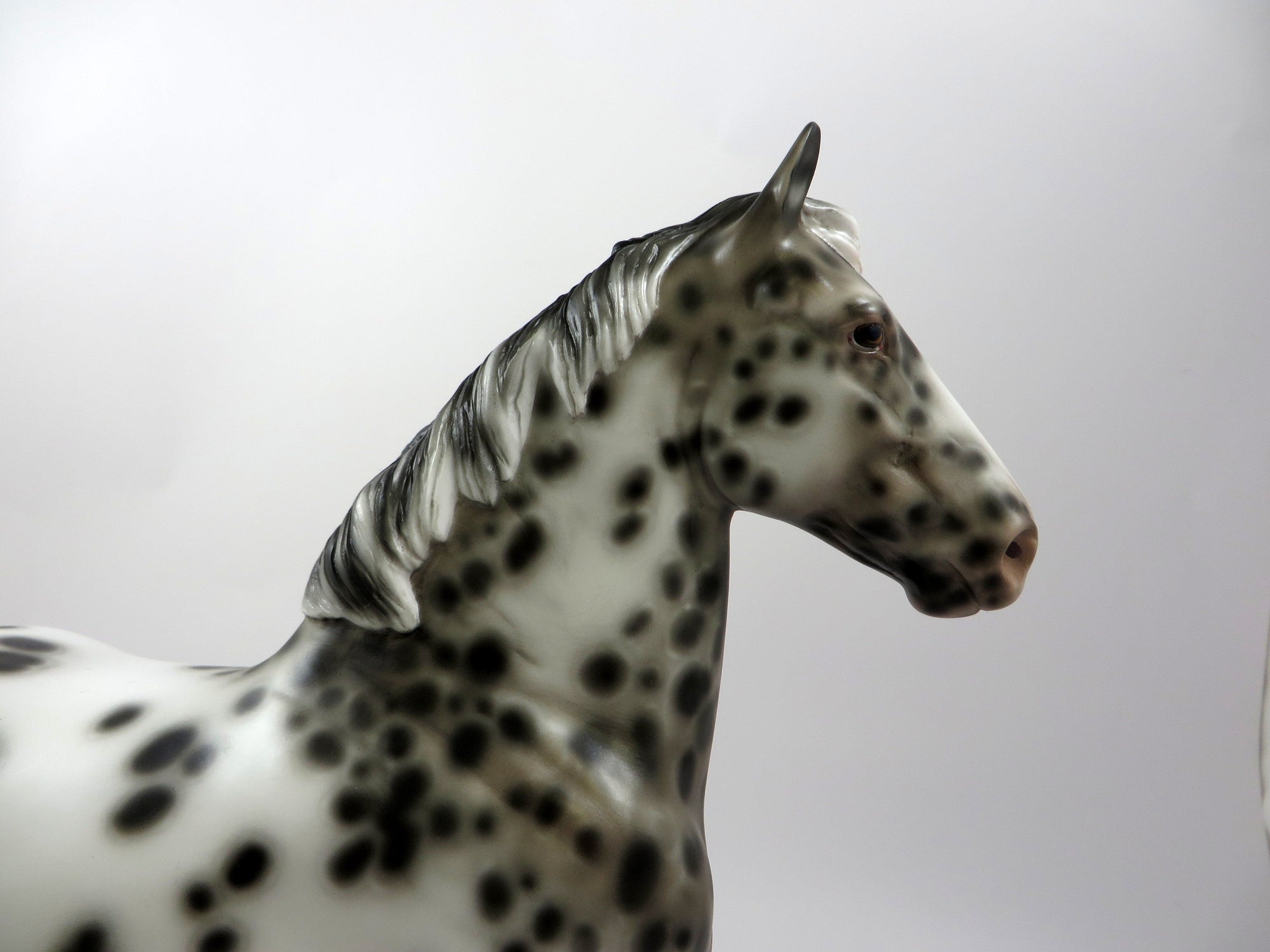 GADZOOKS-OOAK APPALOOSA STANDING DRAFTER BY SHERYL LEISURE 5/14/19