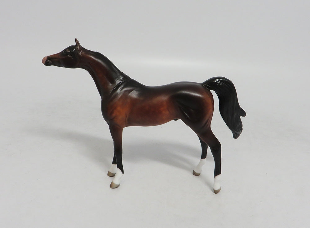 PRIDE RIDE-OOAK DAPPLE BAY ARABIAN WITH CUSTOM TAIL LHS 2018