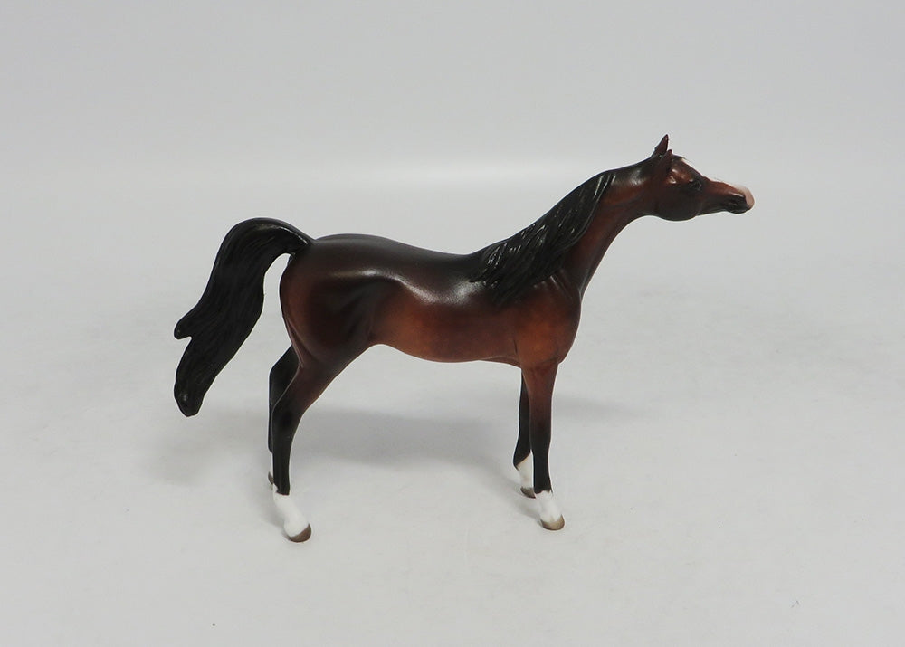 PRIDE RIDE-OOAK DAPPLE BAY ARABIAN WITH CUSTOM TAIL LHS 2018