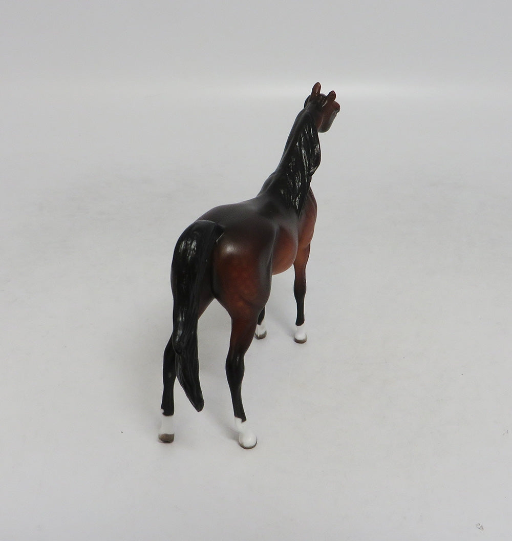 PRIDE RIDE-OOAK DAPPLE BAY ARABIAN WITH CUSTOM TAIL LHS 2018