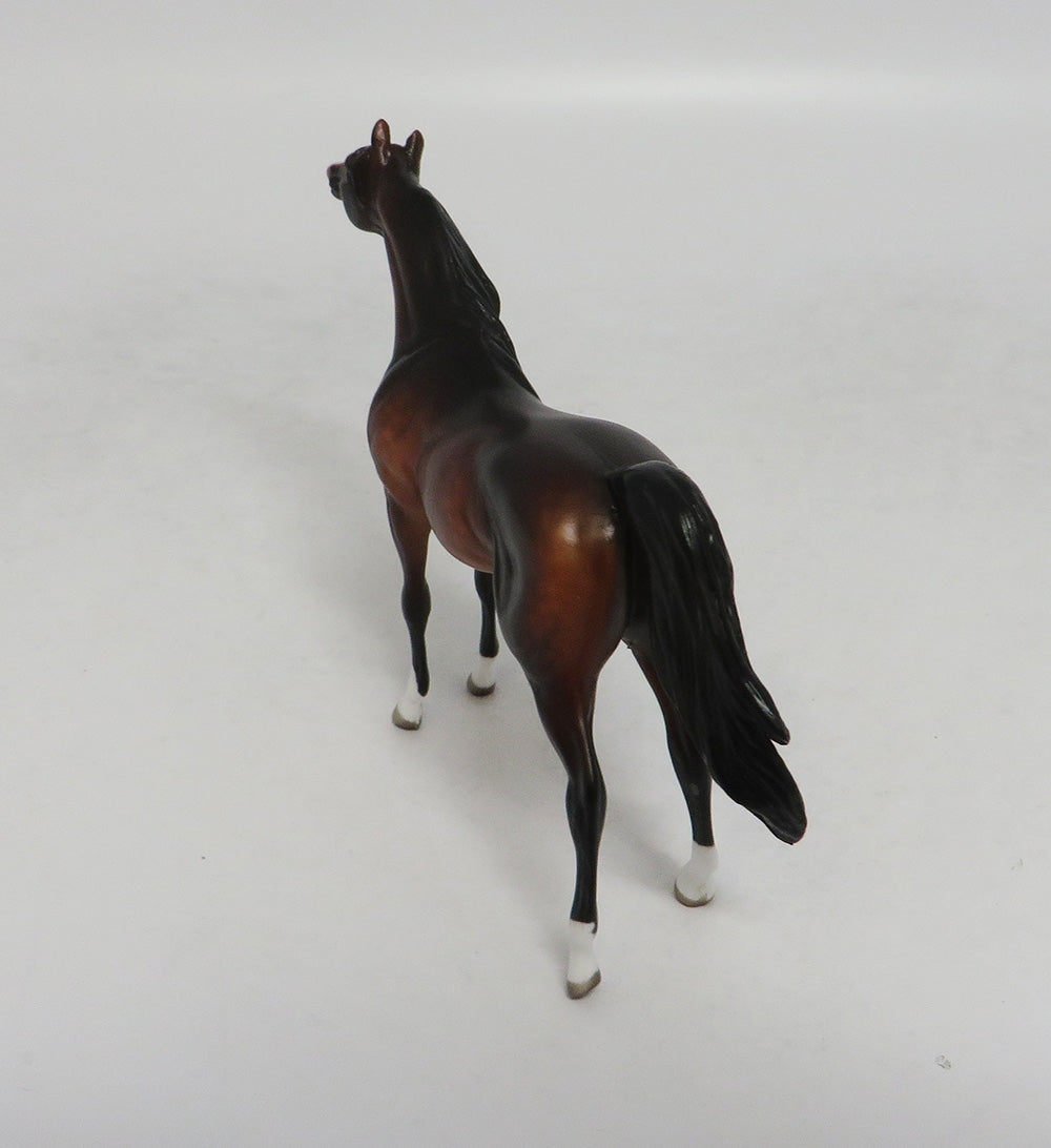 PRIDE RIDE-OOAK DAPPLE BAY ARABIAN WITH CUSTOM TAIL LHS 2018