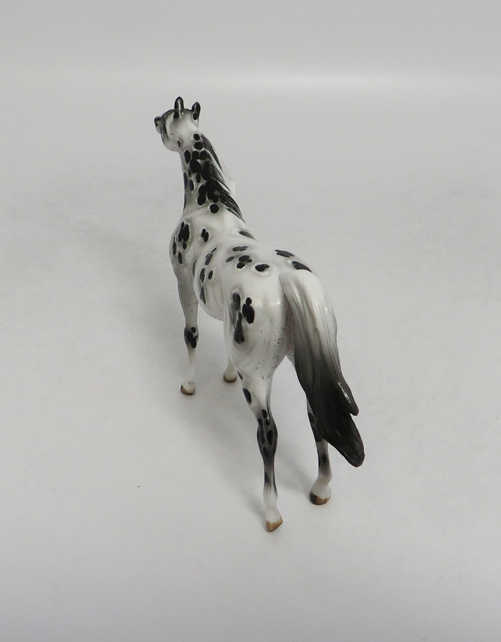 NAME GAME-OOAK APPALOOSA ARABIAN WITH CUSTOM TAIL BY SHERYL LESIURE LHS 2018