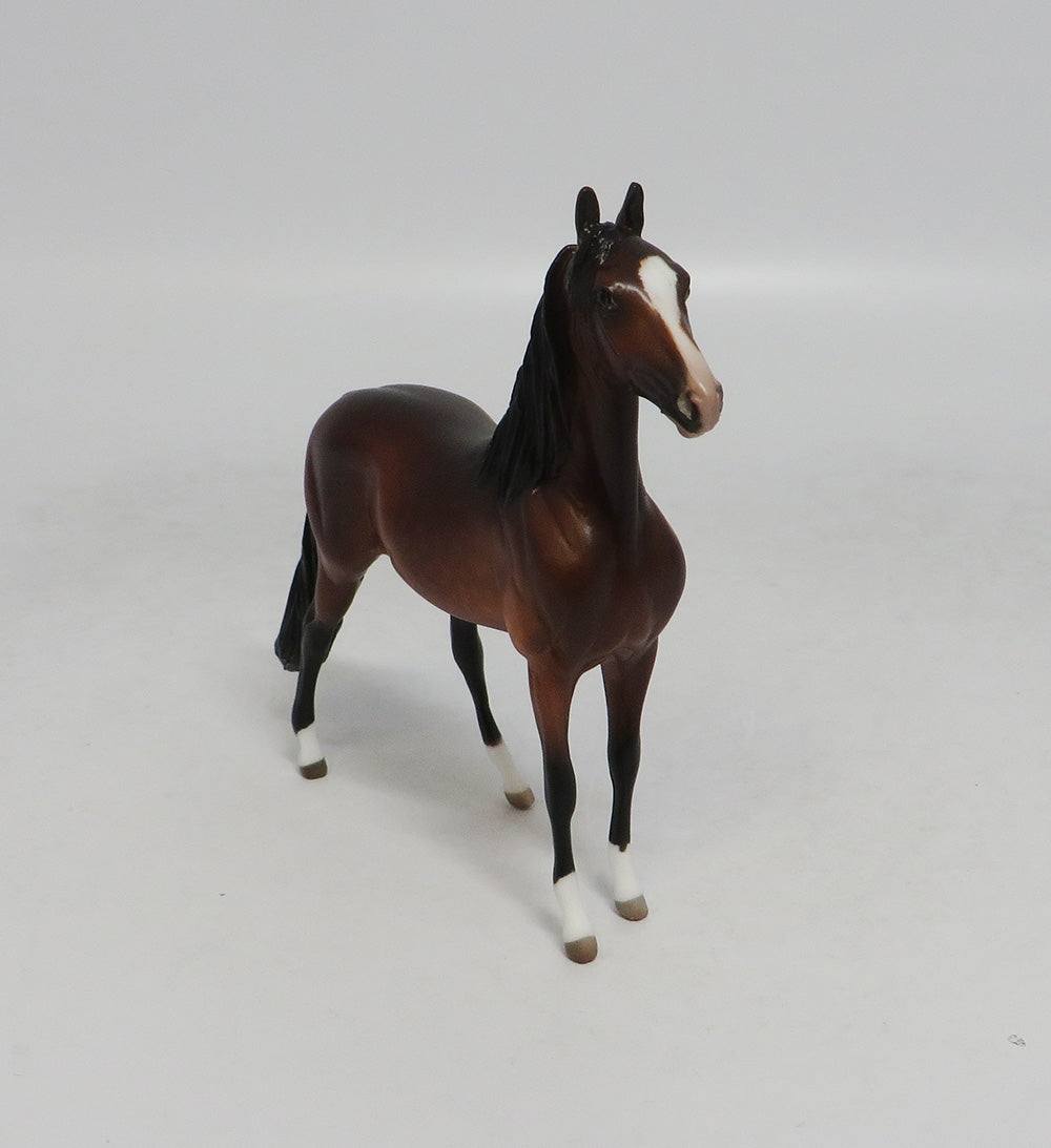 HONKEY DOREY-OOAK DAPPLE BAY MORGAN CHIP BY SHERYL LEISURE 10/12/18