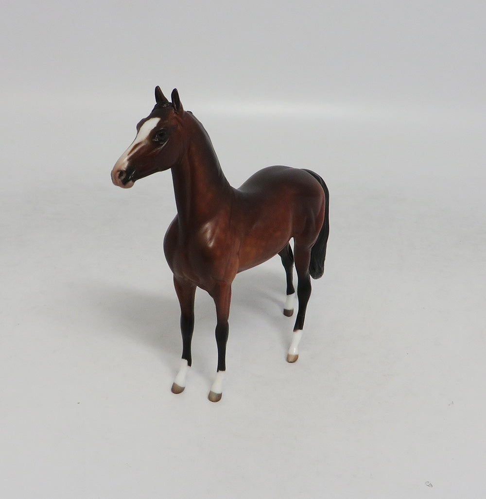 HONKEY DOREY-OOAK DAPPLE BAY MORGAN CHIP BY SHERYL LEISURE 10/12/18