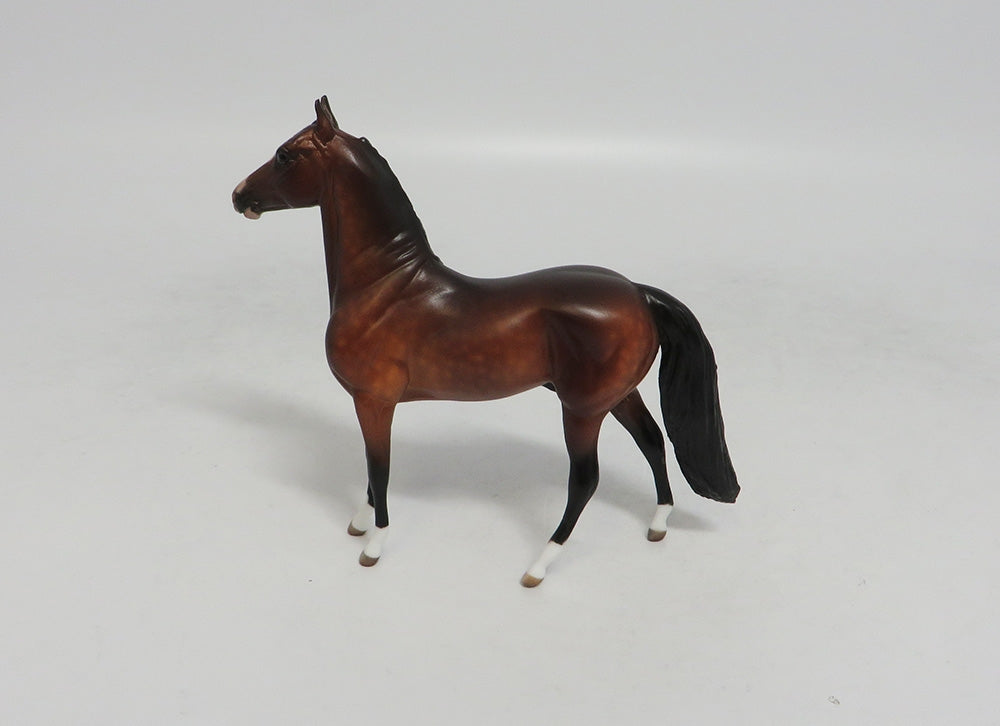 HONKEY DOREY-OOAK DAPPLE BAY MORGAN CHIP BY SHERYL LEISURE 10/12/18