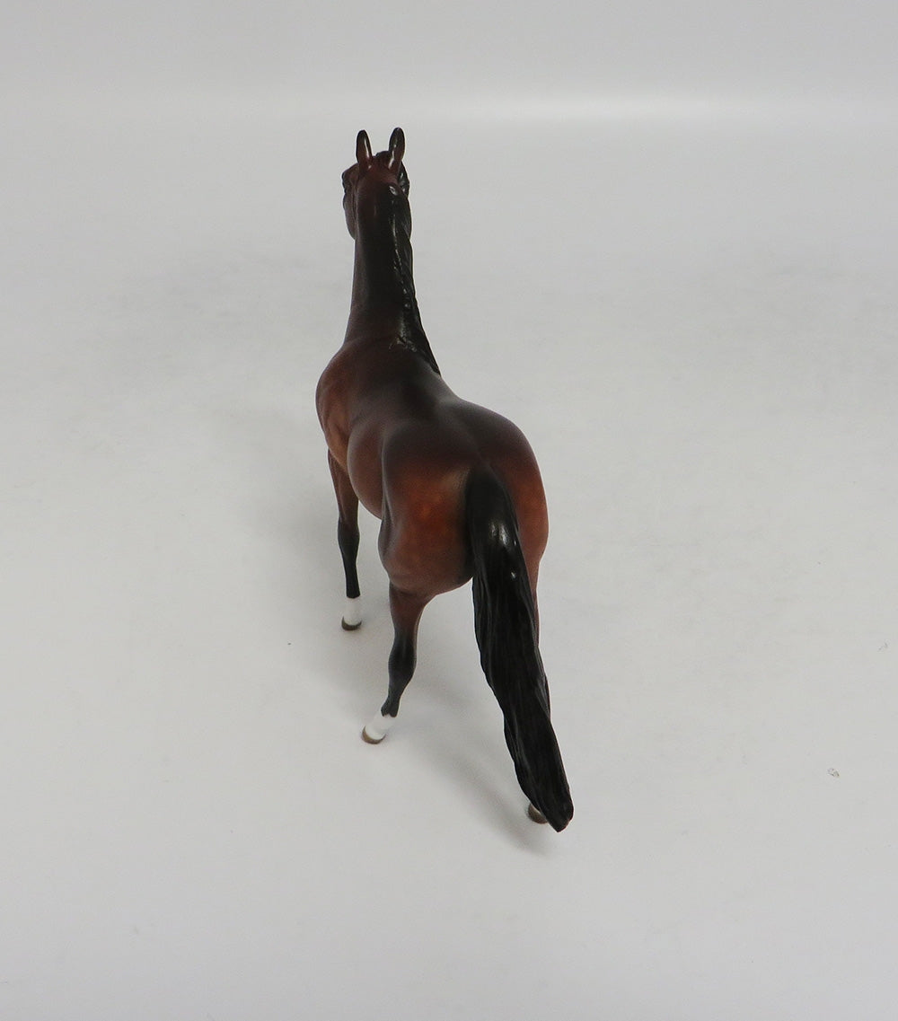 HONKEY DOREY-OOAK DAPPLE BAY MORGAN CHIP BY SHERYL LEISURE 10/12/18