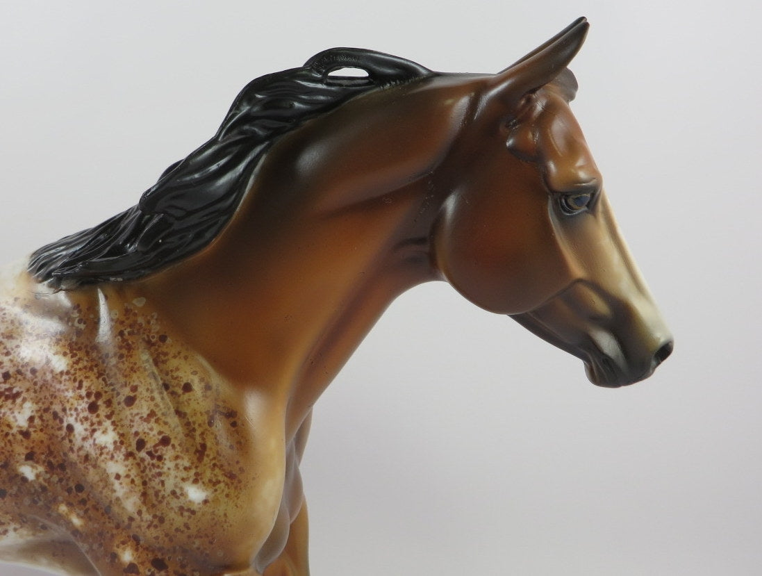 GUN POWDER -OOAK BAY APPALOOSA FQH MODEL HORSE BY AL KATT 9/20/19