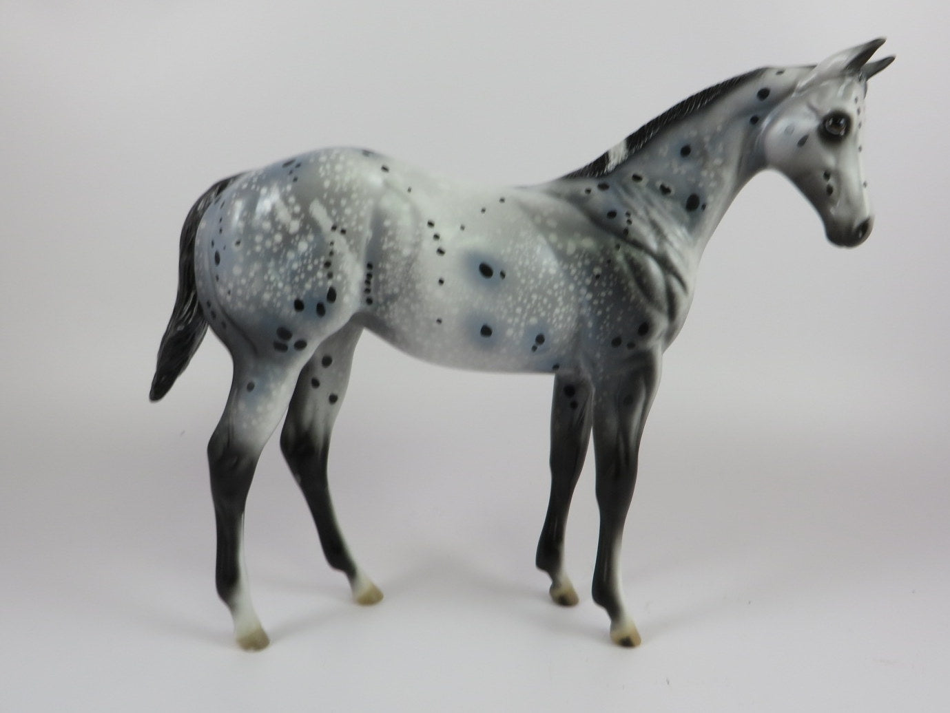 SPACE JAM -OOAK BLACK APPY WEANLING MODEL HORSE BY AL KATT 9/20/19