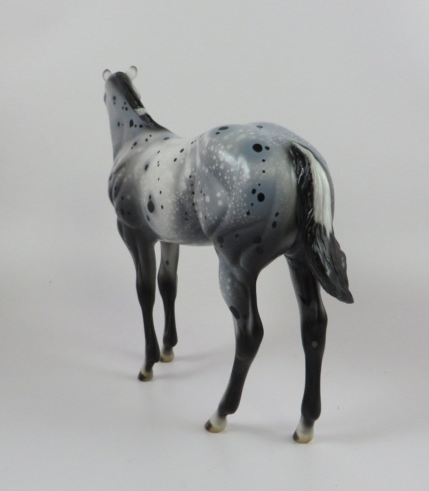 SPACE JAM -OOAK BLACK APPY WEANLING MODEL HORSE BY AL KATT 9/20/19