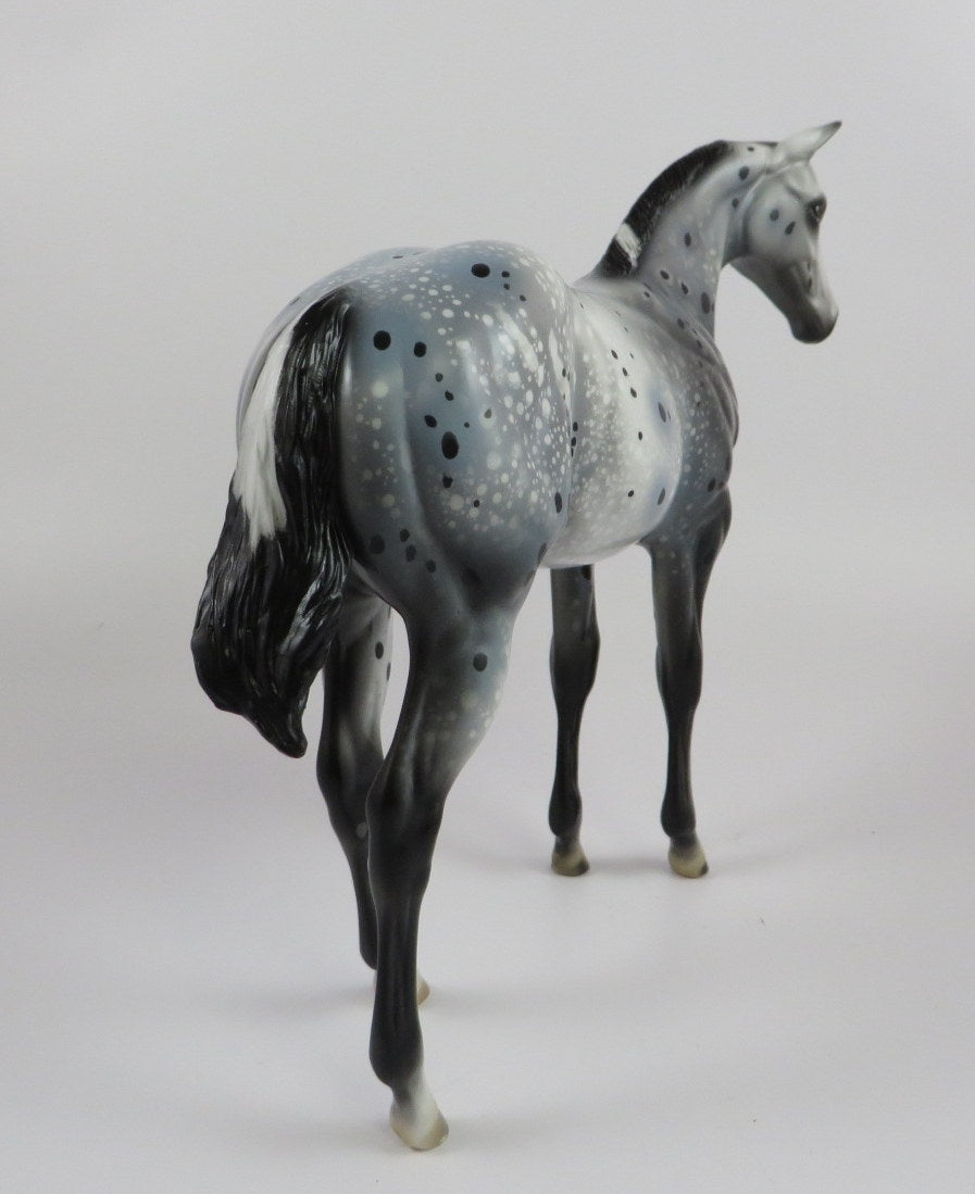 SPACE JAM -OOAK BLACK APPY WEANLING MODEL HORSE BY AL KATT 9/20/19