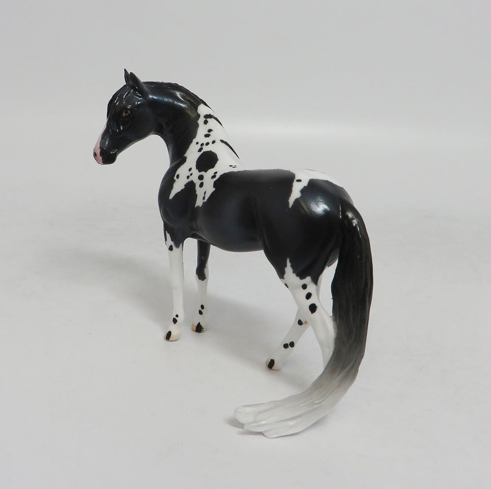 ELAINE ERMINE- LE20 BLACK ANDALUSIAN CHIP CUSTOM BY AUDREY DIXON LHS 2018