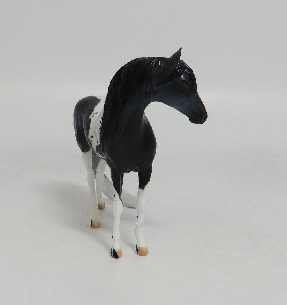ELAINE ERMINE- LE20 BLACK ANDALUSIAN CHIP CUSTOM BY AUDREY DIXON LHS 2018