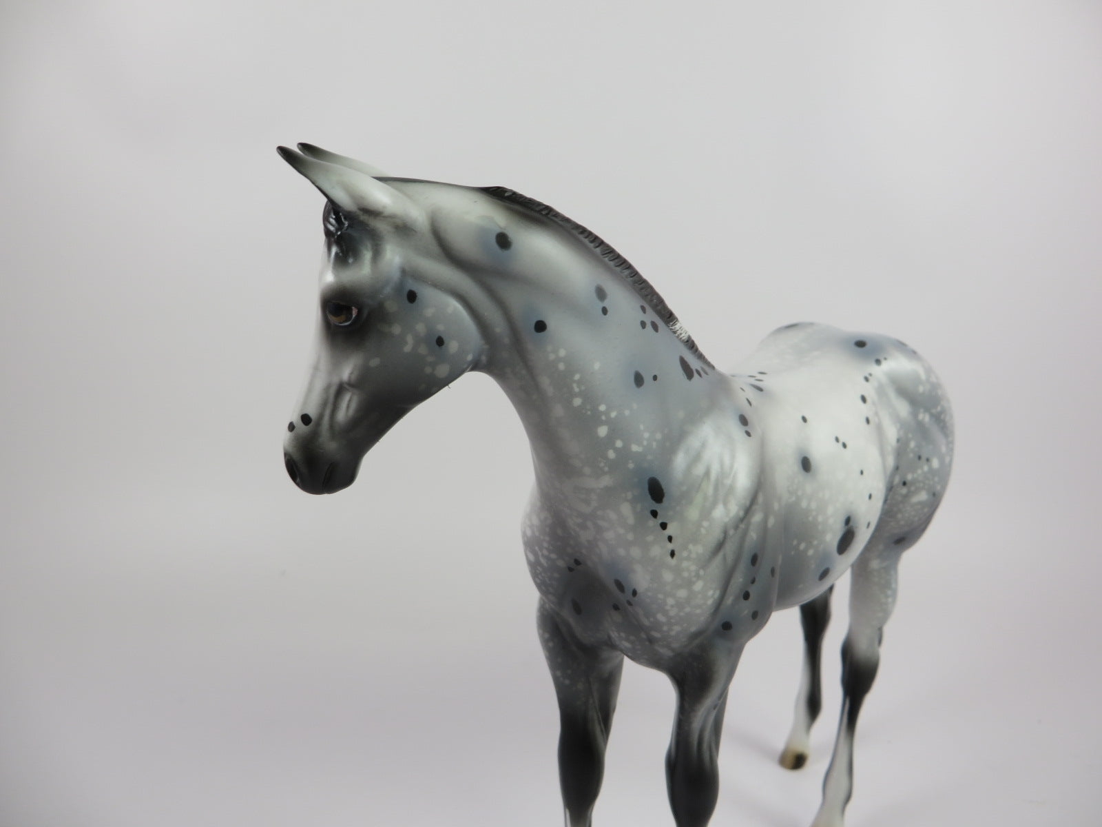 SPACE JAM -OOAK BLACK APPY WEANLING MODEL HORSE BY AL KATT 9/20/19