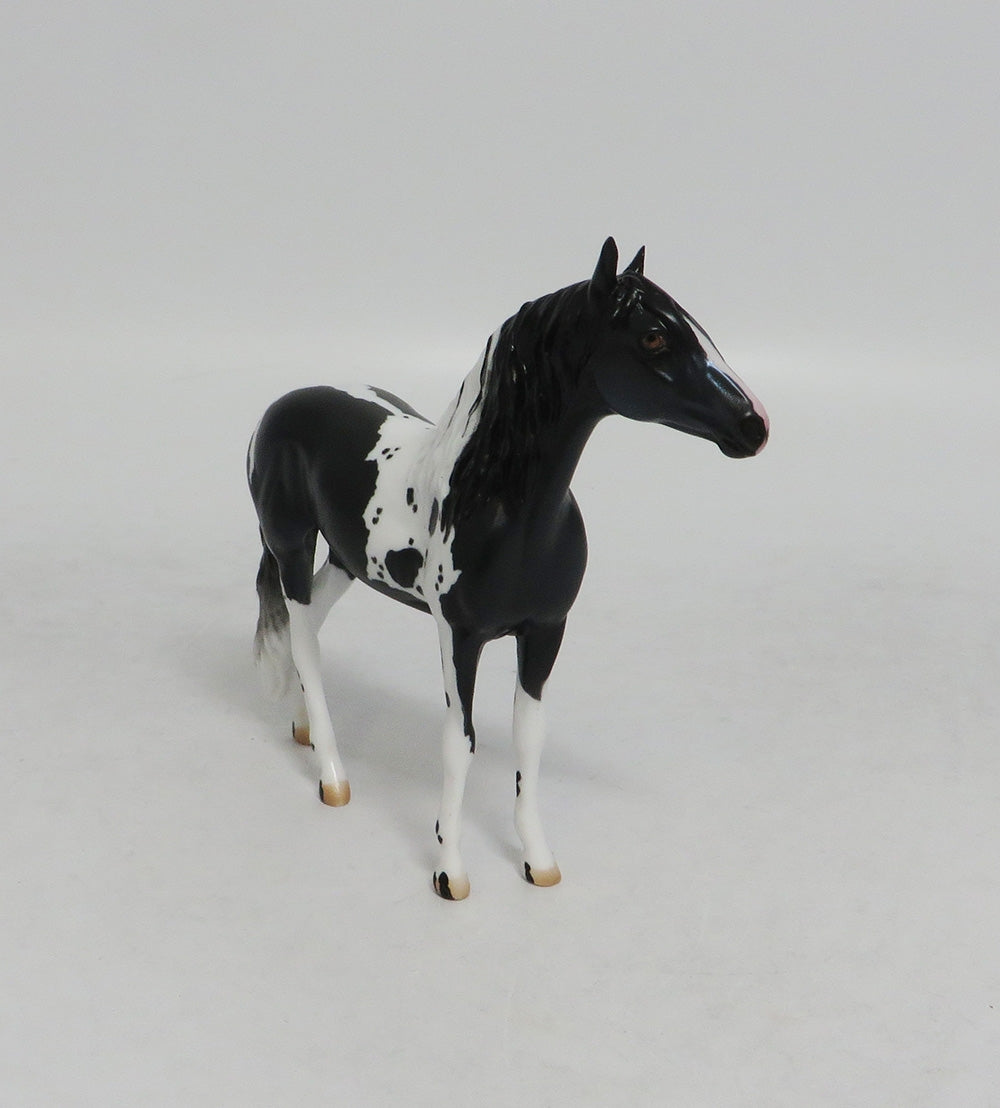 ELAINE ERMINE- LE10 BLACK ANDALUSIAN CHIP NON CUSTOM BY AUDREY DIXON LHS 2018