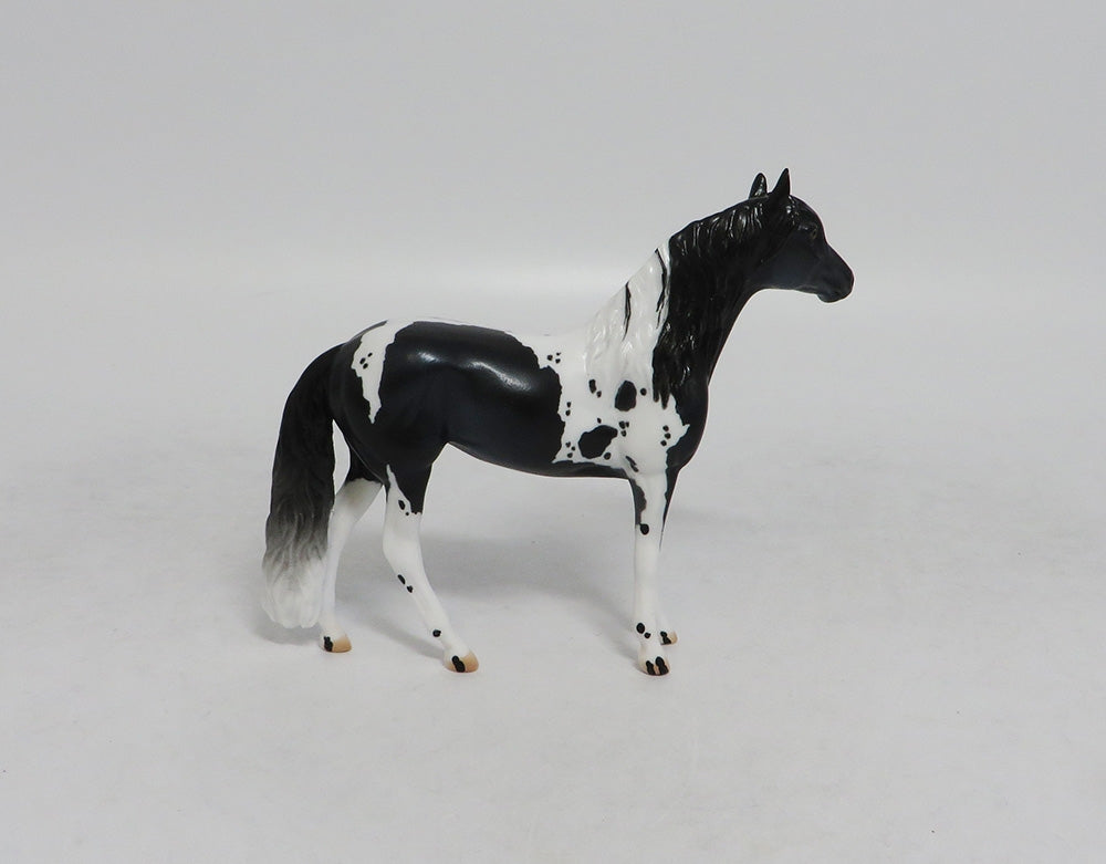 ELAINE ERMINE- LE10 BLACK ANDALUSIAN CHIP NON CUSTOM BY AUDREY DIXON LHS 2018